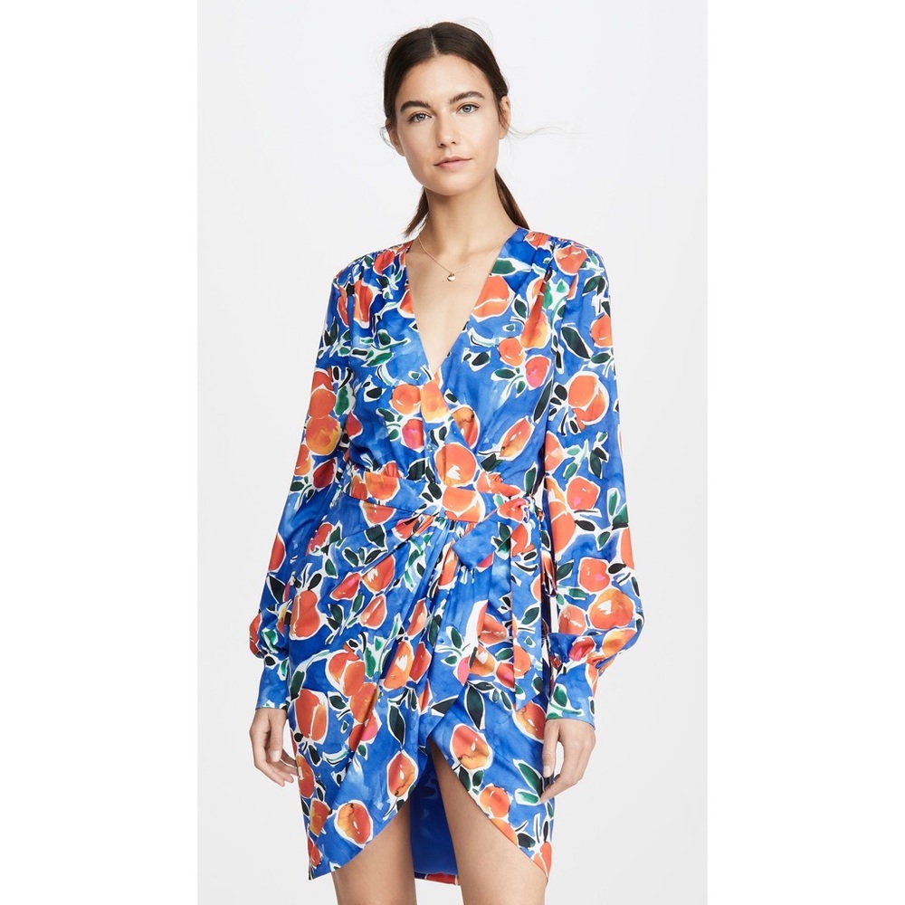 Jonathan Simkhai Acapulco Wrap Tropical Dress